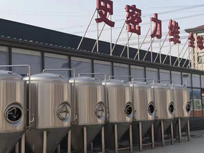 苍梧精酿啤酒设备厂—如何判断精酿啤酒设备的密封件需要更换？